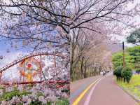 穿越時光的大門|韓國金海伽倻主題公園