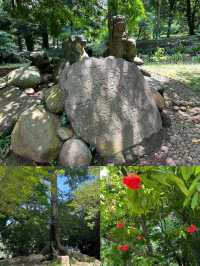 闖進綠野仙蹤！探秘茂物植物園