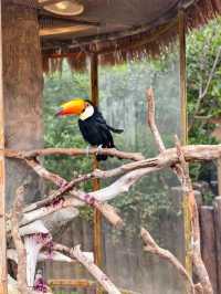 Explore Shanghai Wildlife Park in Half a Day