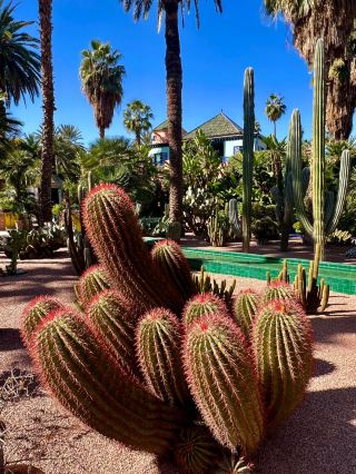 A quick guide to Morocco 10-day visa-free tour