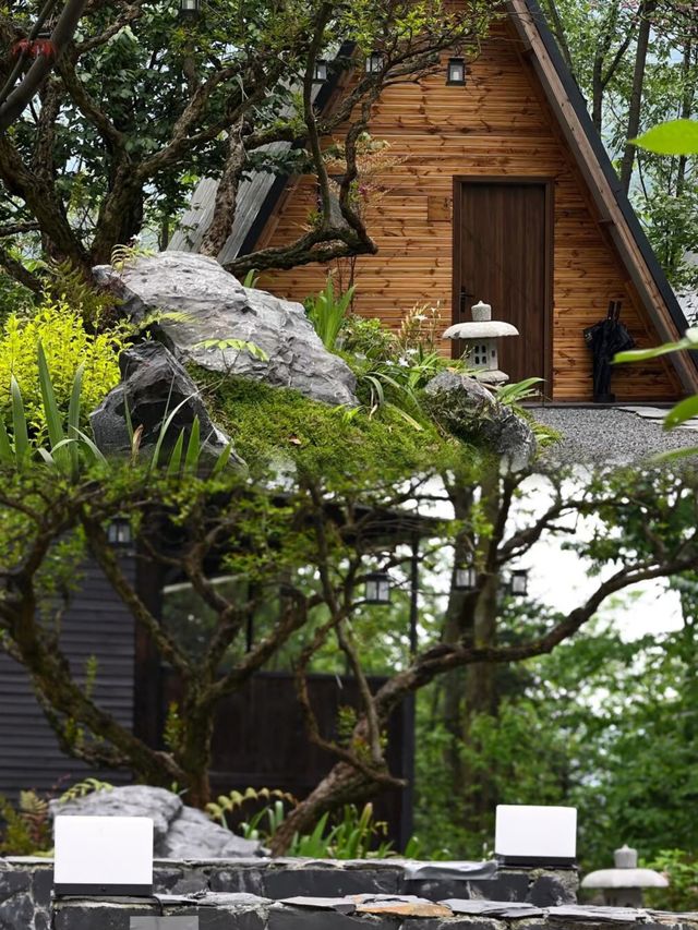 成都入住森林小屋