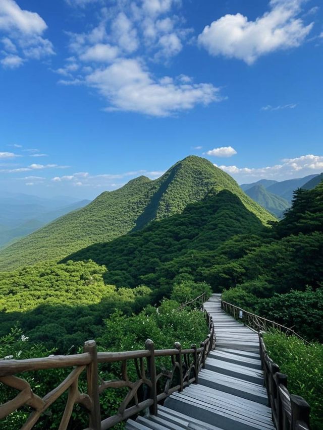 河池避坑血淚史！呢6個坑差啲令我血本無歸