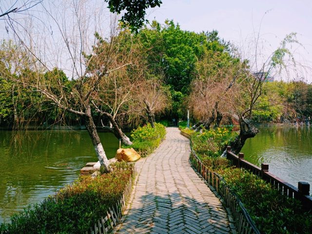 Exploring Zhongshan City Parks During Spring Full Bloom