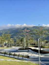 湖光舟影，橫琴賽艇公園漫遊記