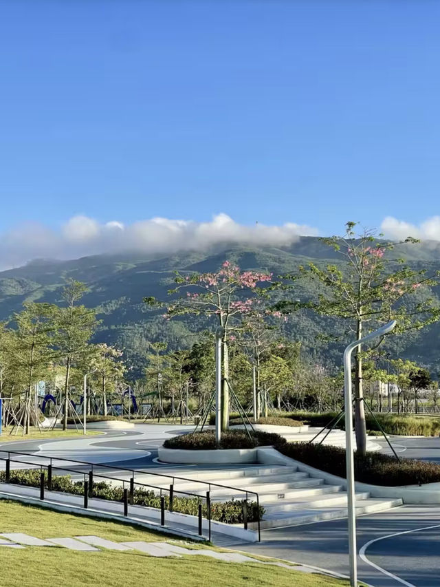 湖光舟影，橫琴賽艇公園漫遊記