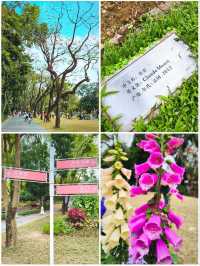 PEOPLE'S PARK in SPRING
