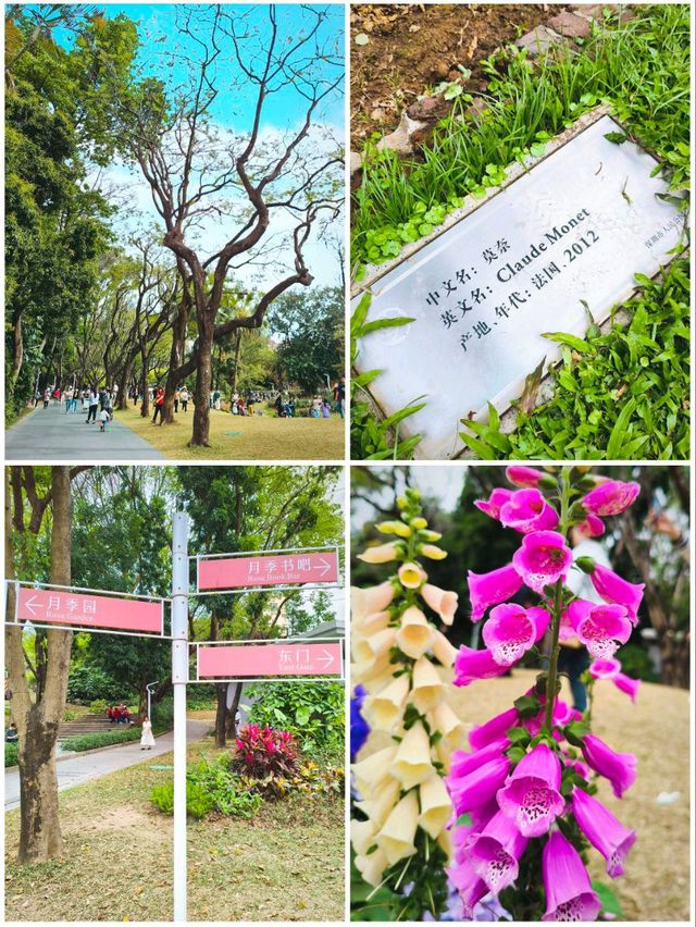 PEOPLE'S PARK in SPRING