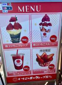日本の魅力的なイチゴ狩り村