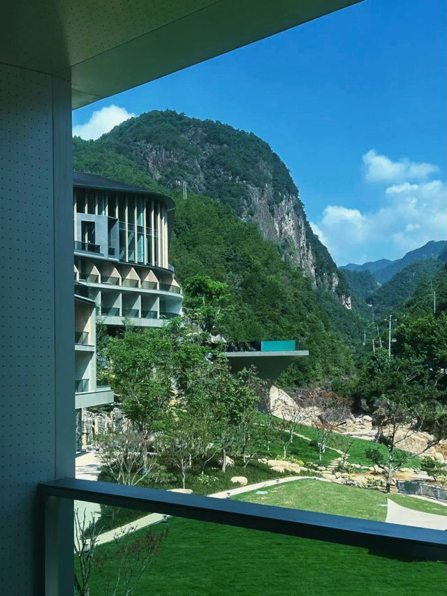 破防啦！溫州龍麒源芳草地，直接美出圈！