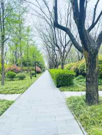 西安～高新區嘅中央公園
