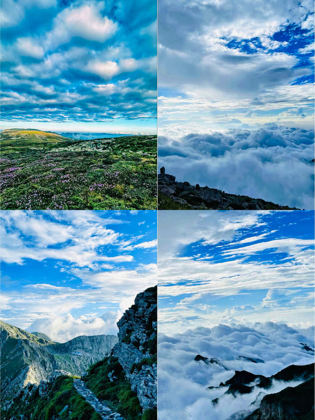 太白山之巔，綠意盎然國家公園