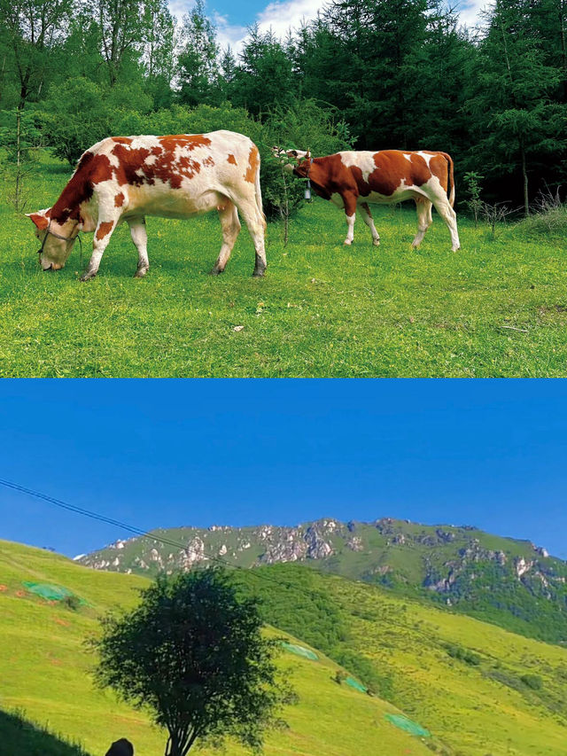 度假勝地蘭州
