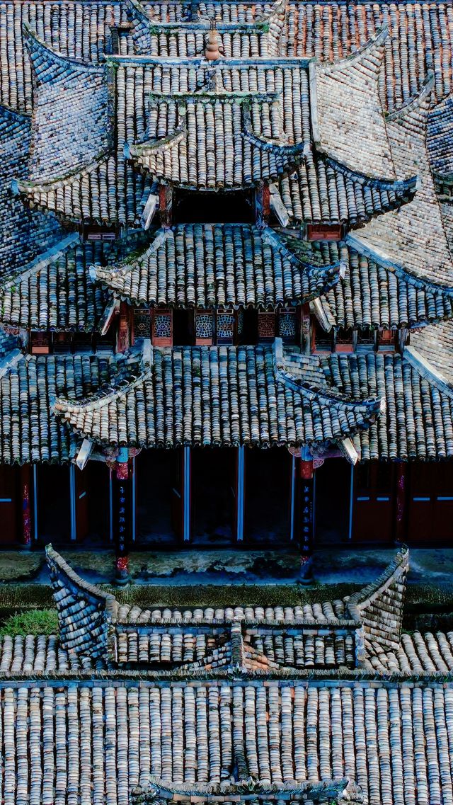 你是否也被龍游的風采所吸引
