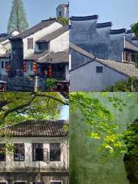 南浔帶娃已回，真不建議四月去