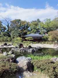 在二條城時空漫遊，解鎖將軍的春日度假庭園