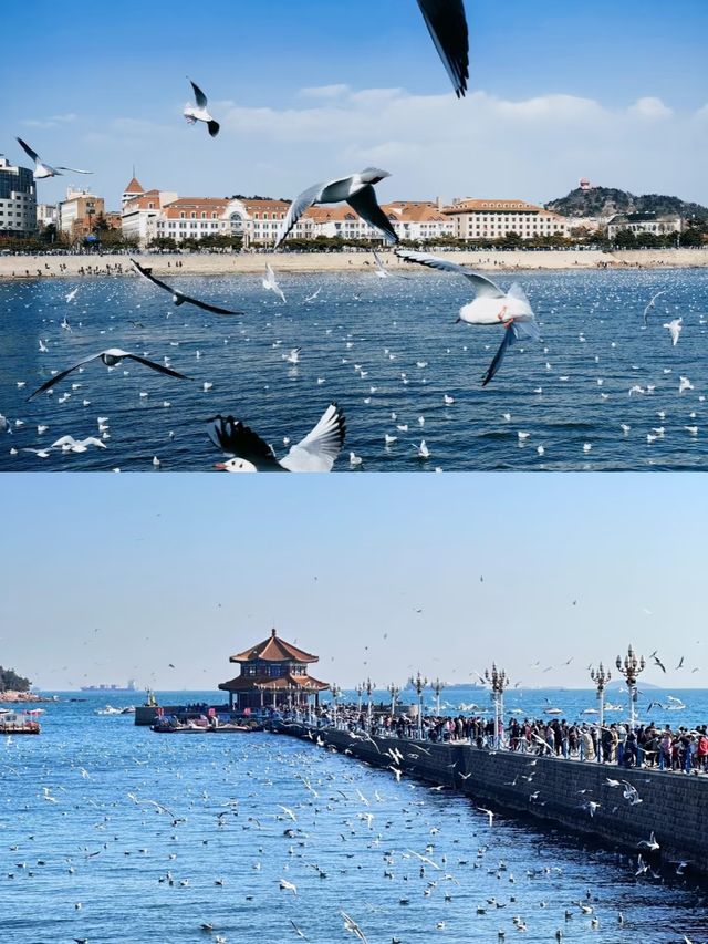 青島第一次來，這些坑千萬別踩！