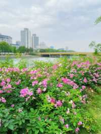 蘇州護城河City walk