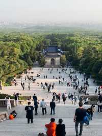 南京1天親子互動旅遊攻略