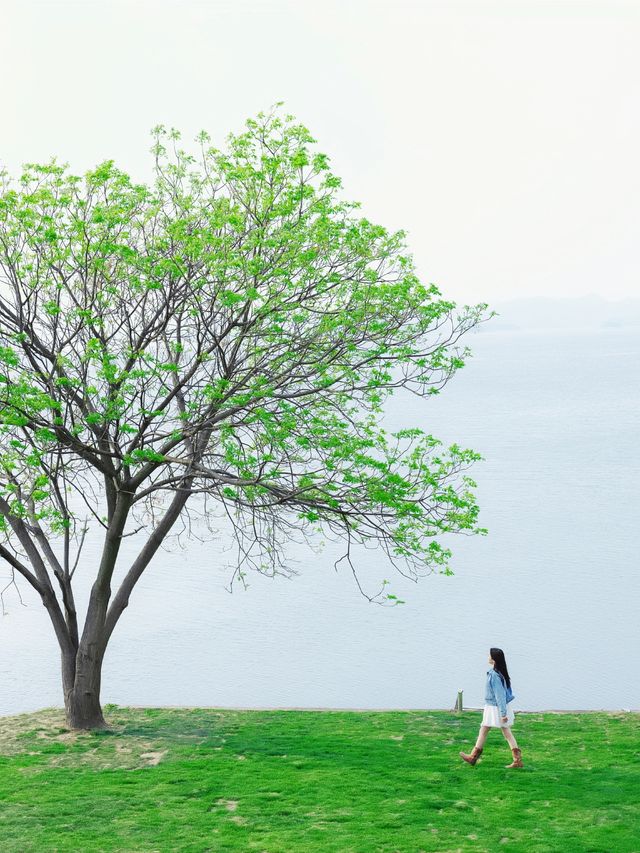 天青色等煙雨，我在江西搵到人間仙境