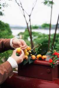 ——喺自然秘境中,喚醒生活嘅詩意