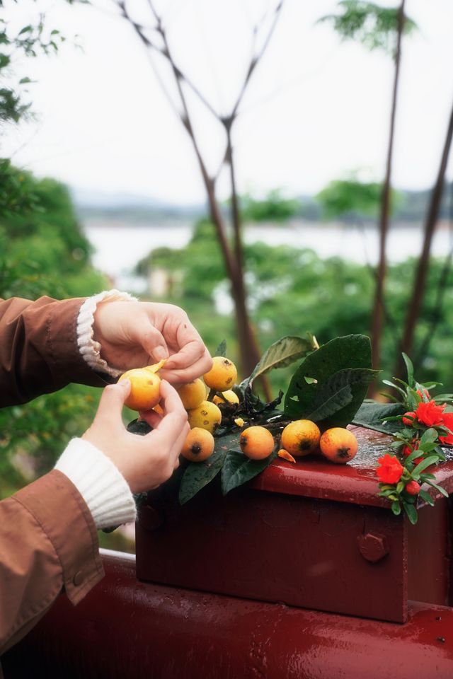 ——喺自然秘境中,喚醒生活嘅詩意 ——喺自然秘境中,喚醒生活嘅詩意