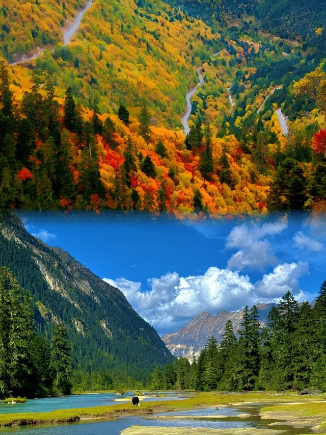 林芝嘅十里桃花同日照金山，真係太震撼啦！