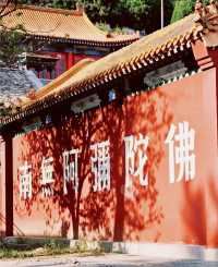 唐山遵化禪林寺古銀杏風景園參觀攻略