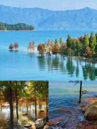 郴州白廊 | “湖南小洱海”遊玩攻略