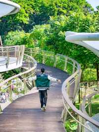 🌳Yunluo Botanical Garden is Astonishing 🥰