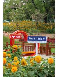 🌻闖入梵高油畫！番禺東沙村古樟樹公園