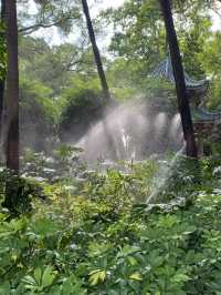 端午尋綠｜香港至佛山中山公園2日休閒游攻略