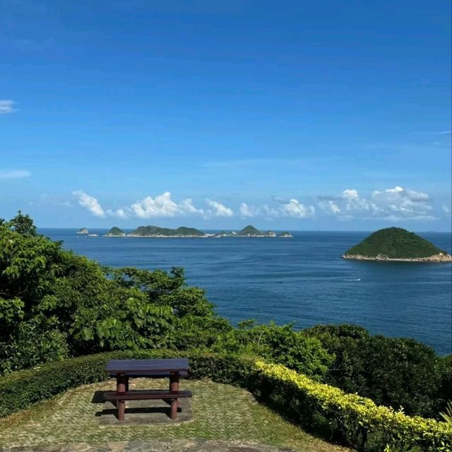 🌿清水灣公園呢片綠到發亮嘅草坪真係治癒到爆！