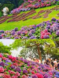 「廣東小華山」兩日一夜旅遊攻略
