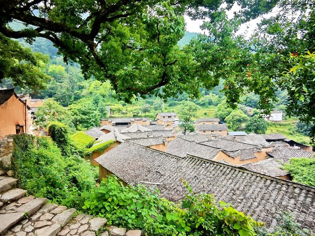 麗水懶人遊