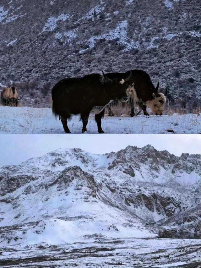 《徒步格聶山：征服6204米嘅高原挑戰》