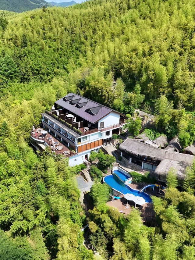 隱入山野的療癒烏托邦