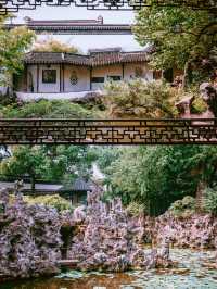 獅子林｜700年禪意園林嘅前世今生