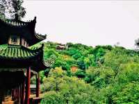 Ya'an's Beauty: Emerald Gateway to Tibet, Veiled in Mist, Nourished by Rivers, Rooted in Tea
