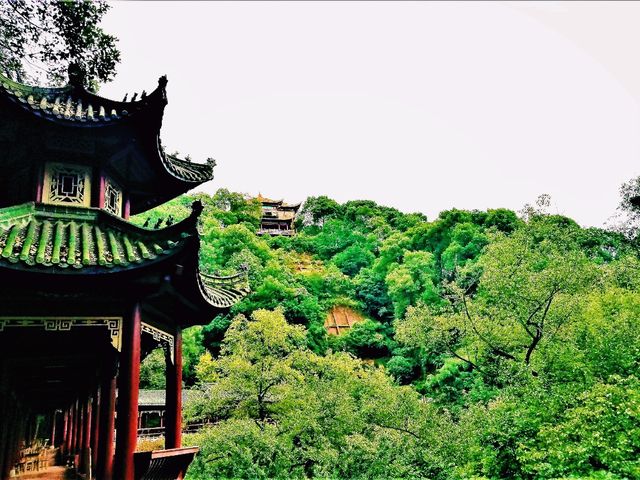 Ya'an's Beauty: Emerald Gateway to Tibet, Veiled in Mist, Nourished by Rivers, Rooted in Tea