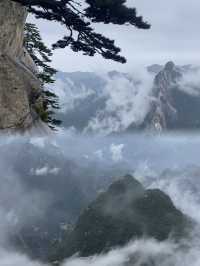 華山日爬已回歸，真係建議今個月去，兩條經典路線！