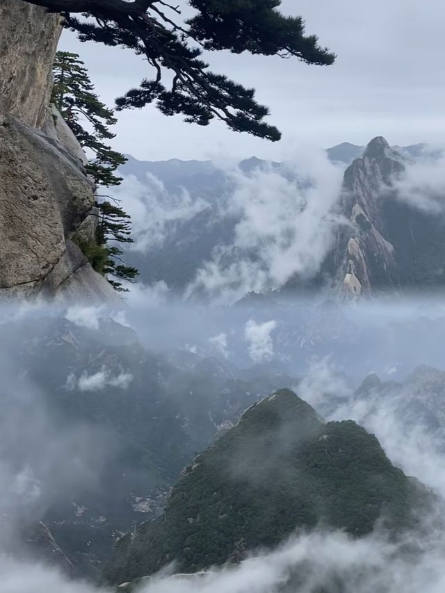 華山日爬已回歸，真係建議今個月去，兩條經典路線！