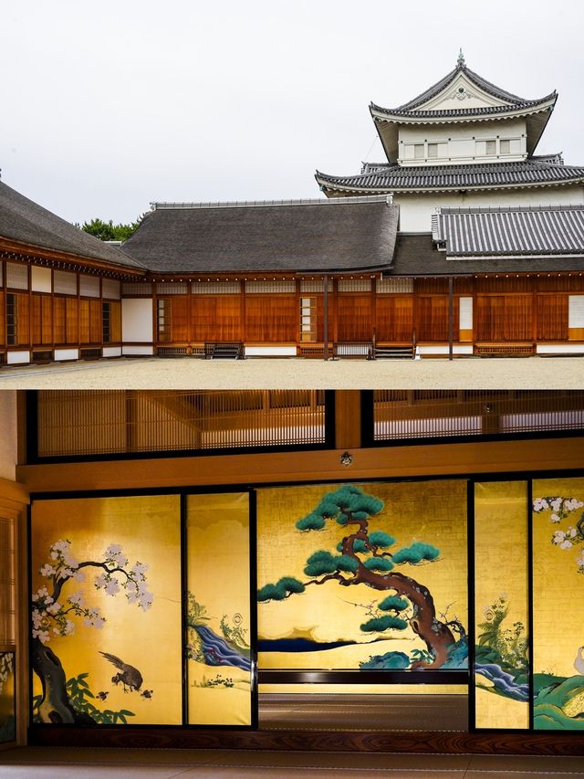 本丸御殿太靚喇，嚟名古屋淨係睇佢都值回票價