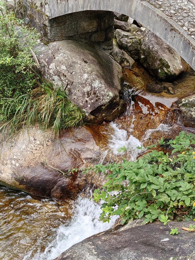 宜春明月山｜硒泉煮月溫禪骨 雲梯漫步叩天扉