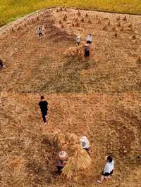峨眉山高橋里暑期放電｜玩水野趣「癲」覆常規