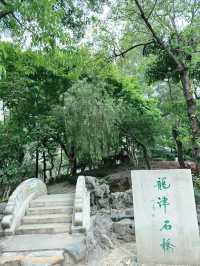 九龍寨城公園｜時空交錯的都市綠洲