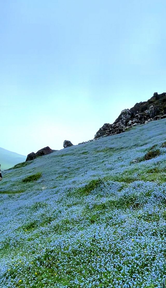 「東川二海草原：昆明北境的隱秘綠野仙蹤」
