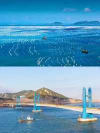 浙江枸杞島：夏日消暑玩水的秘密花園！