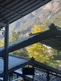 黃山5日遊| 闖進現實版水墨畫裡的夏天