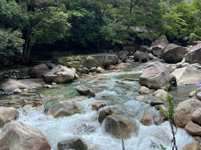 去咗4次鄣山大峽谷，終於玩到明晒