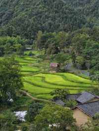 夏日限定｜闖進宮崎駿的稻田漫畫世界！